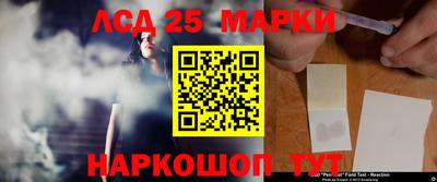 мяу мяу мука Татарск