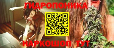 прущие крисы Тверь